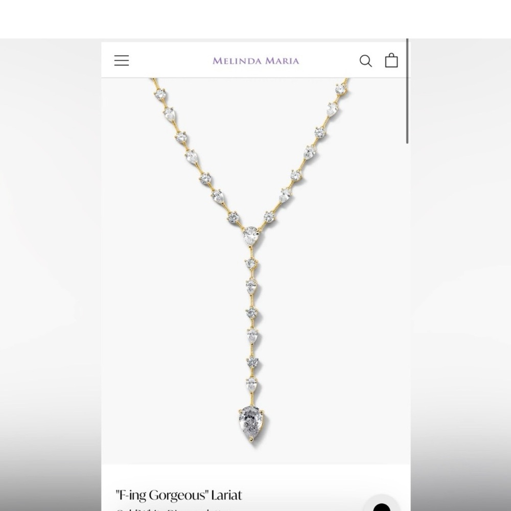 "F-ing Gorgeous" Lariat necklace